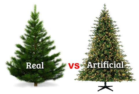 Christmas Tree: Artificial vs Real